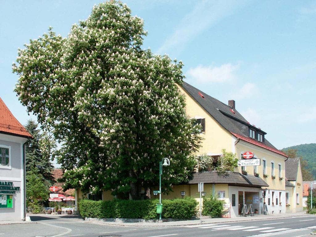 Hotel Gasthof Thaller Lebring Exterior foto